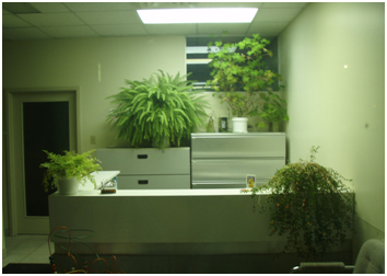 green office